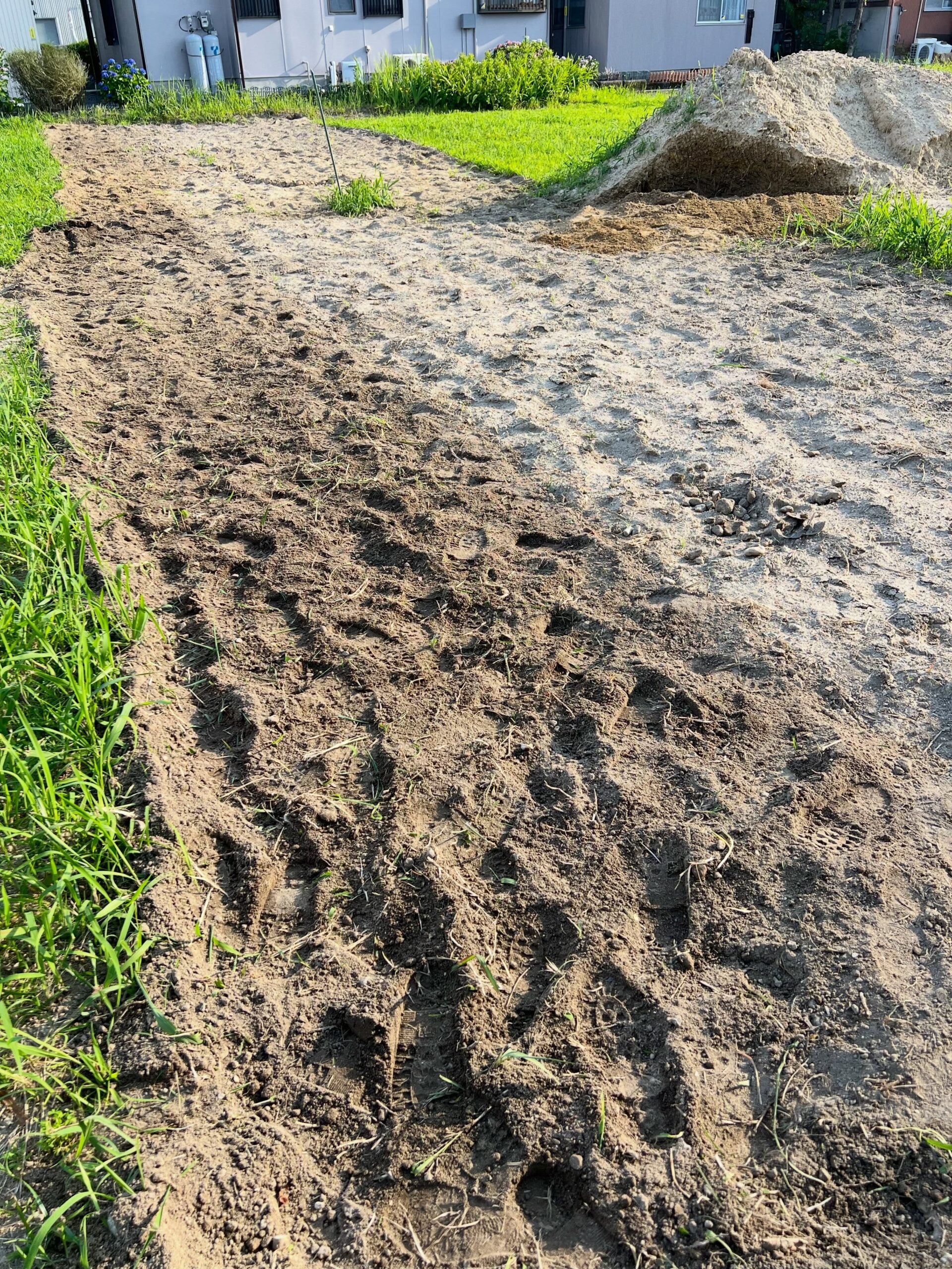 クシャミ鼻水が酷かったり、クルマの車検があったりしましたが、なんだかんだで午後は農場に入って作業を行いました。車検を終えたクルマを取りに行くため数時間しか出来ませんでしたが、ぼくは耕運、手伝いに来てくれた母は石取りといういつもの作業分担。まだまだ耕運も石取りも終わりません写真2枚目は何かが地中浅くを這いずって、地上に出てきたような痕跡が。モグラかな🤔#圃場整備 #イチジク畑 #耕運 #石取り #果樹園