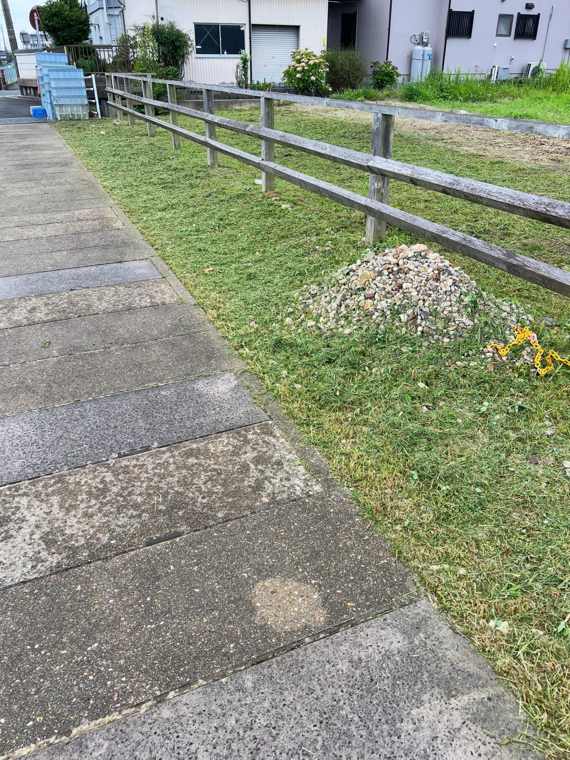 ️ご注意️9〜10枚目はイラガの幼虫の写真です。苦手な方はスワイプしないでください今日の圃場整備は、草刈りと並行して母親には石取りをお願いしました。道路側を草刈りした後は、いつも通り竹箒で刈草を集めましたが、本業でブロワを使う機会が増えて以来、「やっぱり欲しいな…」と思ってしまいます。雨が強くなってきたので作業を切り上げようとした、その時。ふと柿の木を見ると、イラガの幼虫が大量発生草刈り中に触れなくて本当に良かった…。あまりの数にトラウマ級です。急きょ予定変更。枝や葉ごと切り取り、堆肥袋へ封印しました。まだ高い場所には残っているので、帰宅後に対策を調べることに。できれば農薬は使いたくありませんが、ここまで発生すると木酢液などでは厳しそう…。今季だけ農薬で抑えて、来季は予防を徹底するしかないのか悩みます。しかもイラガはイチジクにも付くとのこと。このまま放置はできないので、徹底抗戦です#圃場整備 #草刈り #イラガ #イラガの幼虫 #農薬を使うべきか悩む