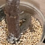 我が家の守り神 生育が遅れてるイチジクの挿し木があるのですが、毎朝ほぼ必ずそのプラカップの中でヤモリが寝ています。 気付かず水やりをするとお互いにビックリしてます😅 ヤモリは「家守」とも書き、家の守り神として幸運の象徴だったりするので、追い払ったり駆除することなくそのままにしています。 その上、Gなどの害虫を食べてくれる益獣でもあります。 これからもずっと家を守っていてほしいと思います☺️ 1